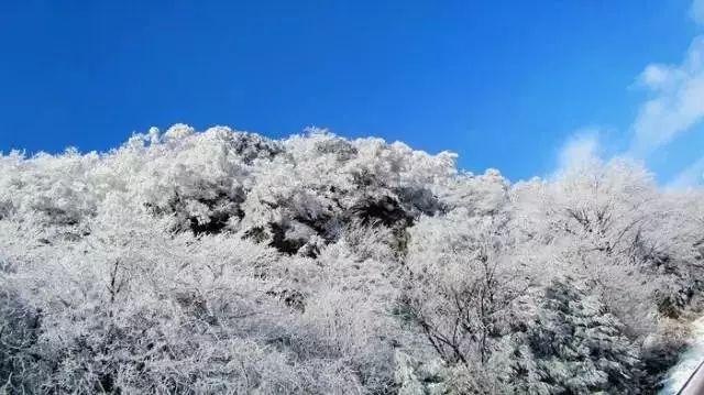 了不起的麦瑟尔夫人