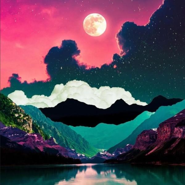 逃出白海豹洞