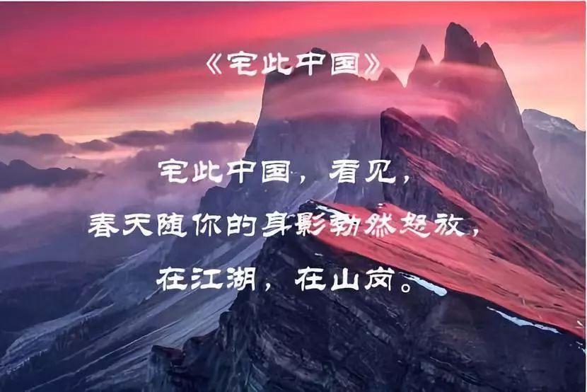 每日一图 丨 超级防窥膜
