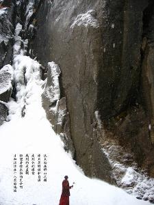 广西崇左市【中药批发】亳州市场1.31行情快讯
